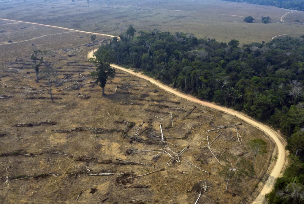 IRI Perú alertó sobre iniciativas nocivas para los bosques y pueblos amazónicos