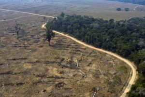 IRI Perú alertó sobre iniciativas nocivas para los bosques y pueblos amazónicos