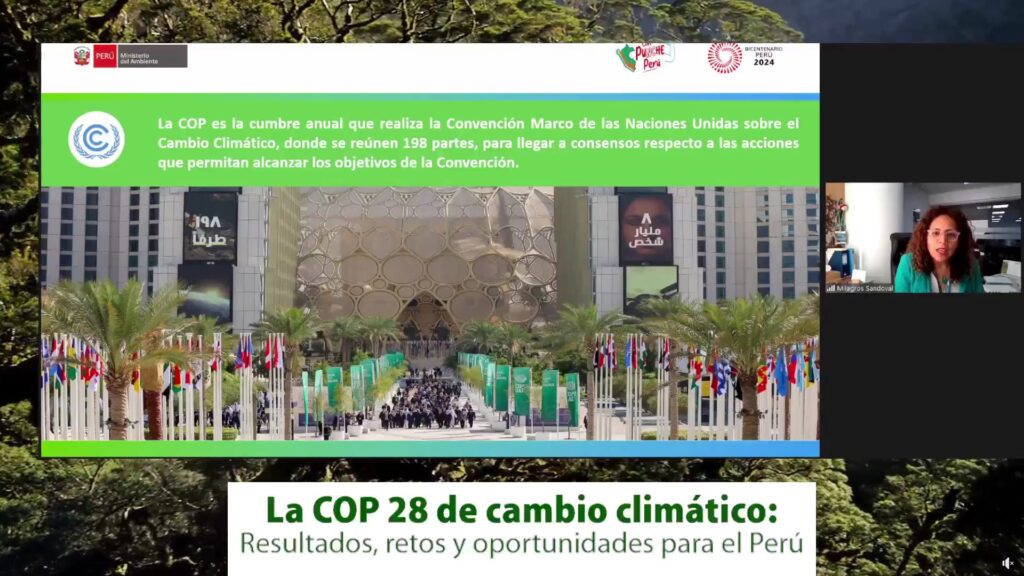 COP 28: resultados, retos y oportunidades para el Perú